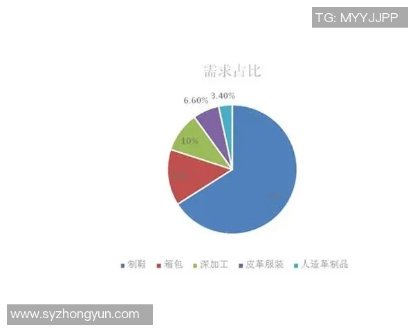 深圳篮球队的运营策略深度分析与市场前景展望